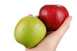Two apples in a hand on a white background Two apples in a hand on a white background