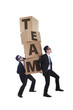 Business team walking up with boxes