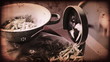 Video: Dutch bean mill slicing beans with sepia look front view Dutch bean mill slicing beans with sepia look front view