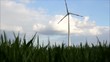 Windenergieerzeugung auf der Wiese