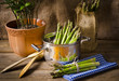 green Asparagus