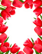Red fresh spring flowers background Red fresh spring flowers background
