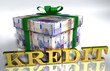 3D Geldgeschenk weiss - KREDIT