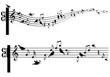 music notes with birds, vector