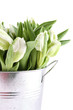 Tulips Bouquet
