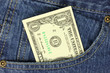 One dollar bill in the pocket