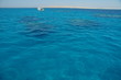 Coral Reef