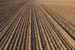 plough agriculture field before sowing