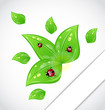 Leaves with ladybugs sticking out of the cut paper Leaves with ladybugs sticking out of the cut paper