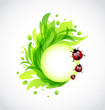 Eco floral transparent background with ladybugs Eco floral transparent background with ladybugs