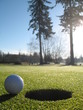On the green