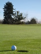 On the green