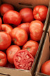 Tomatoes for sale at Farmers Market