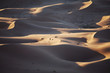 Desert