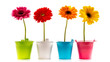 Concept Fleur Concept Fleur