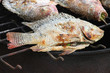 Grilled fish
