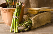 green Asparagus