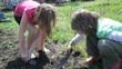 elementary kids working, digging, helping in garden