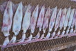 Panel dried squid Panel dried squid