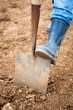 gardening