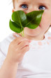Leaves in hand