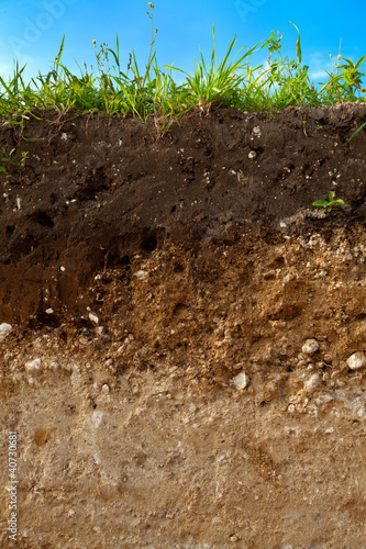 Photo: Soil Soil
