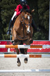Show Jumping