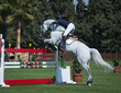 Show Jumping