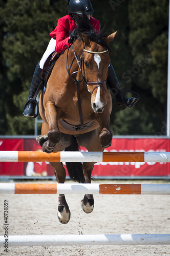 Photo: Show Jumping Show Jumping