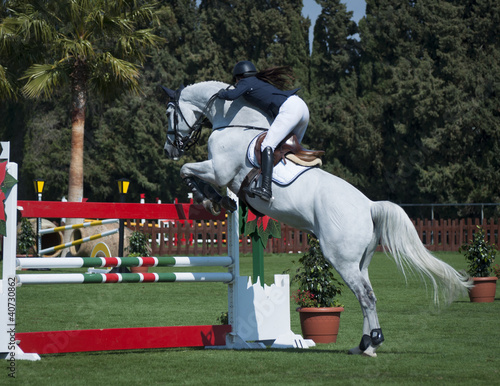 Photo: Show Jumping Show Jumping