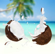 Coconut on the beach