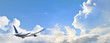 Avion dans les nuages