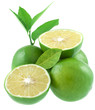 citrons verts issus de l'agriculture biologique citrons verts issus de l'agriculture biologique