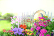 Sommerflor