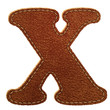 Leather alphabet. Leather textured letter X Leather alphabet. Leather textured letter X