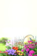 Sommerflor