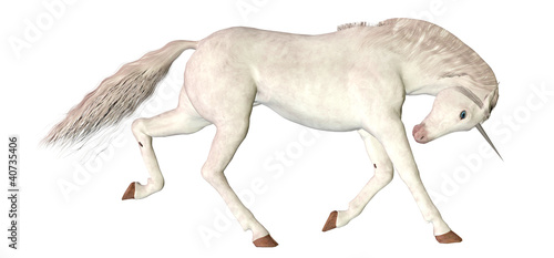 Illustration: White Unicorn White Unicorn