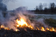 Fire in meadow