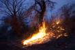 Fire