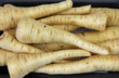 Foto: Pastinaken Pastinaken