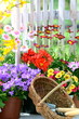Gartenromantik