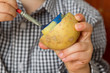 Foto: Kartoffeldruck Stempel Bunt Kartoffeldruck Stempel Bunt