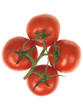 Organic Vine Grown Tomatoes