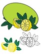 Lemon freshness