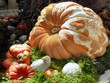 Herbststillleben
