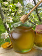 honey
