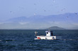 small sailing through the sea fishing