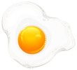 Vektor: Fried eggs on white Fried eggs on white