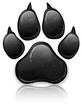 Paw Prints