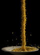 fallende Nudeln 1 /  falling noodles 1